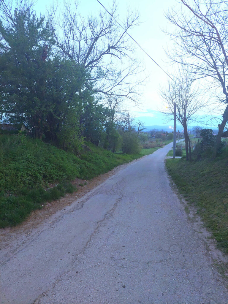 A street in Kovilj with nature